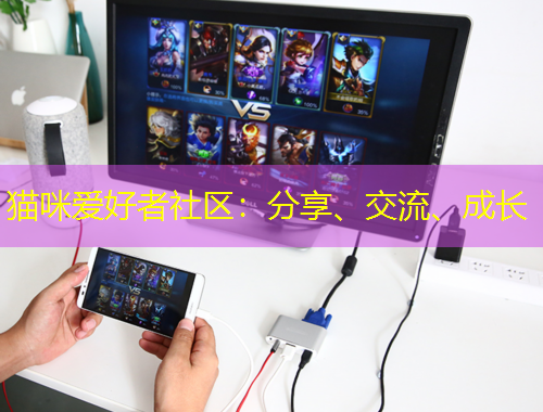 貓咪愛(ài)好者社區(qū)：分享、交流、成長(zhǎng)