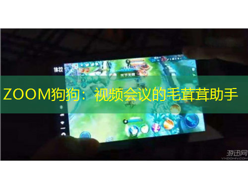 ZOOM狗狗：視頻會議的毛茸茸助手