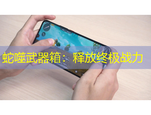 蛇噬武器箱：釋放終極戰(zhàn)力