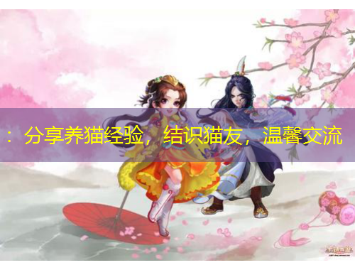 ：分享養(yǎng)貓經(jīng)驗(yàn)，結(jié)識(shí)貓友，溫馨交流