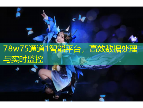 78w75通道1智能平臺，高效數(shù)據(jù)處理與實時監(jiān)控