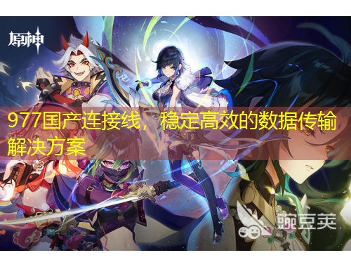 977國(guó)產(chǎn)連接線，穩(wěn)定高效的數(shù)據(jù)傳輸解決方案