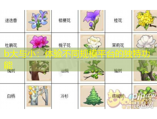 b大與?。后w驗不同規(guī)模平臺的獨特功能