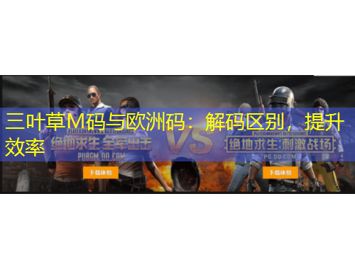 三葉草M碼與歐洲碼：解碼區(qū)別，提升效率