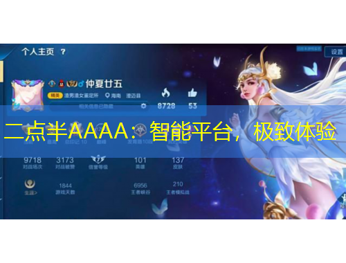 二點(diǎn)半AAAA：智能平臺，極致體驗(yàn)