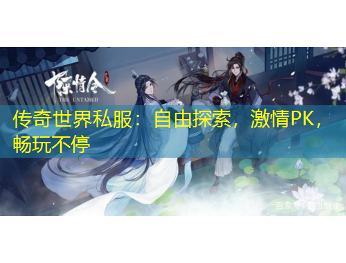 傳奇世界私服：自由探索，激情PK，暢玩不停