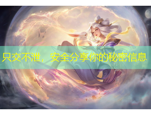 只交不泄，安全分享你的秘密信息