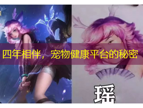 四年相伴，寵物健康平臺的秘密