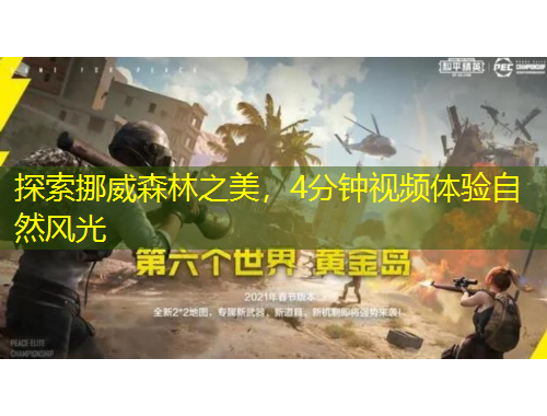 探索挪威森林之美，4分鐘視頻體驗(yàn)自然風(fēng)光