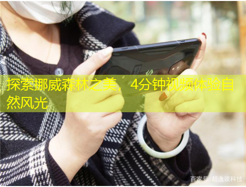 探索挪威森林之美，4分鐘視頻體驗(yàn)自然風(fēng)光