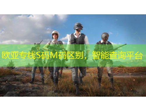 歐亞專線S碼M碼區(qū)別，智能查詢平臺(tái)