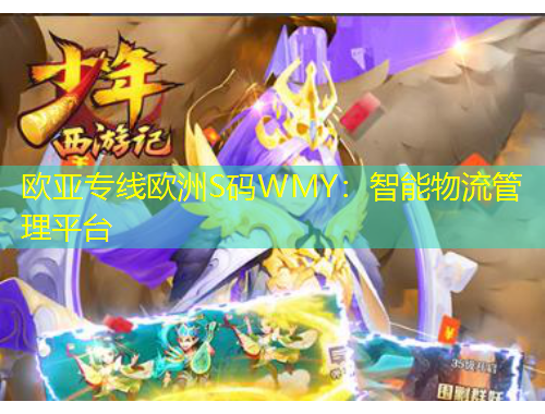 歐亞專線歐洲S碼WMY：智能物流管理平臺