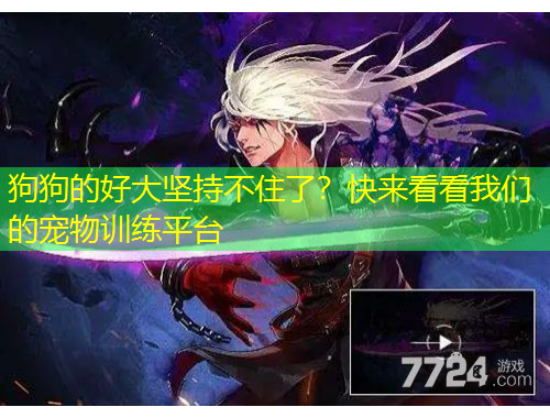 狗狗的好大堅(jiān)持不住了？快來看看我們的寵物訓(xùn)練平臺(tái)