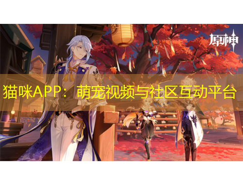 貓咪APP：萌寵視頻與社區(qū)互動平臺