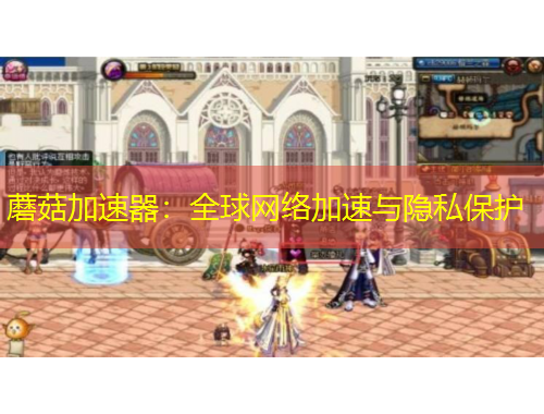 蘑菇加速器：全球網(wǎng)絡(luò)加速與隱私保護(hù)