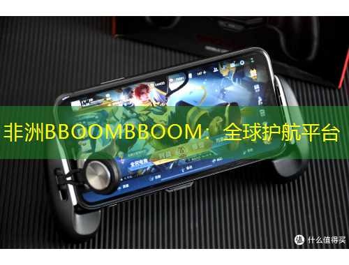 非洲BBOOMBBOOM：全球護(hù)航平臺(tái)