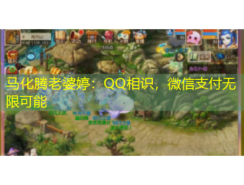 馬化騰老婆婷：QQ相識(shí)，微信支付無(wú)限可能