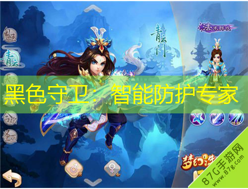 黑色守衛(wèi)：智能防護專家