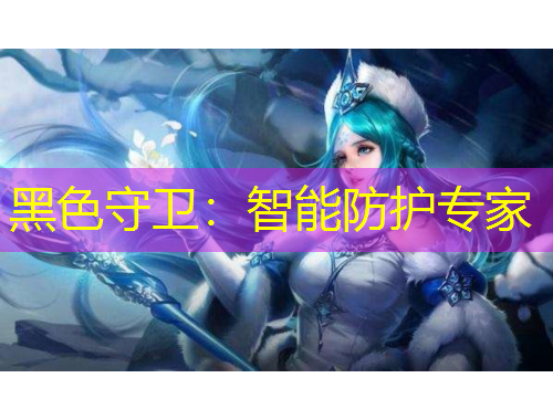 黑色守衛(wèi)：智能防護專家