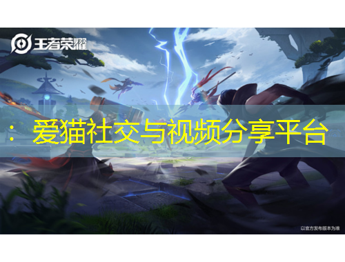 ：愛貓社交與視頻分享平臺