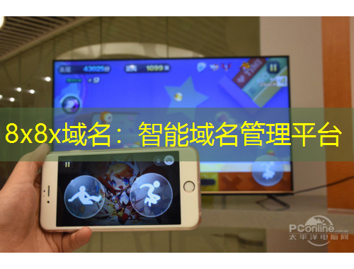 8x8x域名：智能域名管理平臺(tái)