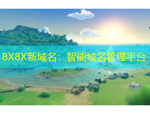 8X8X新域名：智能域名管理平臺