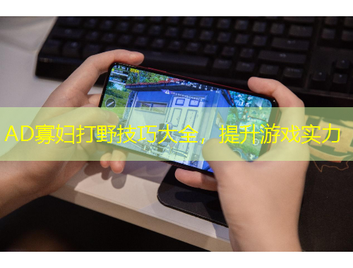 AD寡婦打野技巧大全，提升游戲?qū)嵙? title=