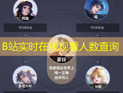 B站實時在線觀看人數(shù)查詢