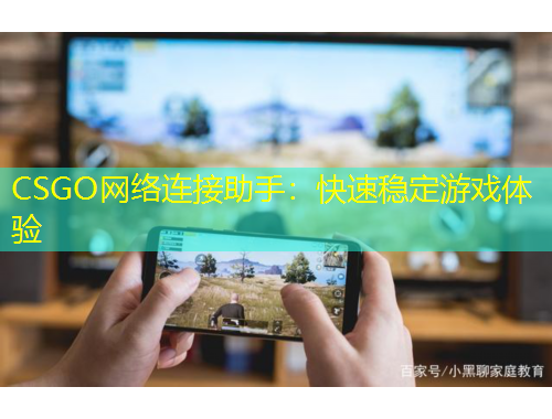 CSGO網(wǎng)絡(luò)連接助手：快速穩(wěn)定游戲體驗