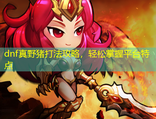 dnf真野豬打法攻略，輕松掌握平臺特點