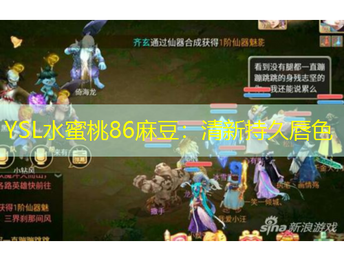 YSL水蜜桃86麻豆：清新持久唇色