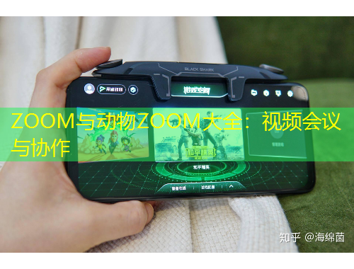 ZOOM與動(dòng)物ZOOM大全：視頻會(huì)議與協(xié)作