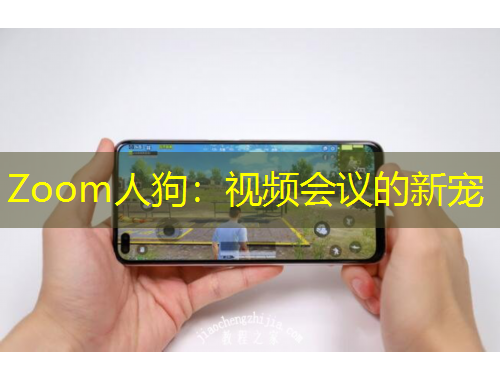 Zoom人狗：視頻會(huì)議的新寵