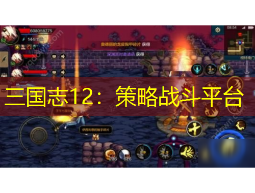 三國志12：策略戰(zhàn)斗平臺