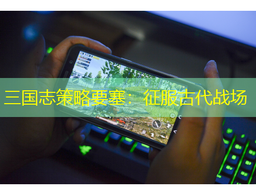 三國志策略要塞：征服古代戰(zhàn)場