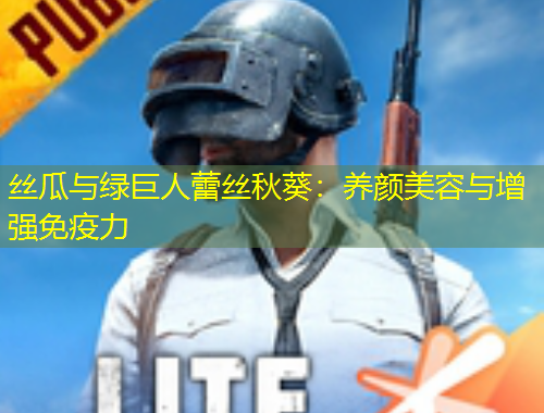 絲瓜與綠巨人蕾絲秋葵：養(yǎng)顏美容與增強免疫力