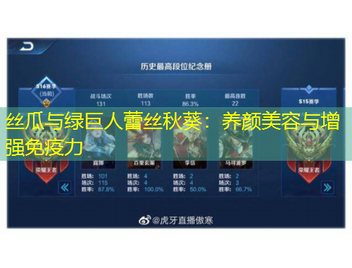 絲瓜與綠巨人蕾絲秋葵：養(yǎng)顏美容與增強免疫力