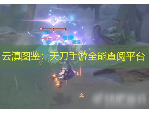 云滇圖鑒：天刀手游全能查閱平臺(tái)