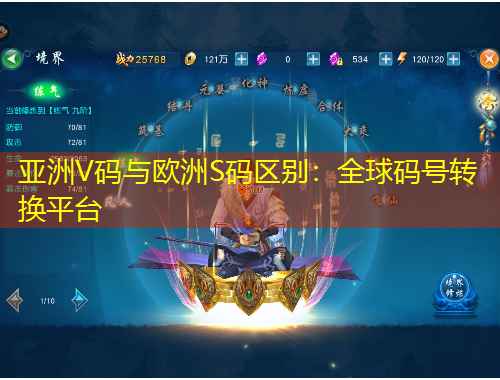 亞洲V碼與歐洲S碼區(qū)別：全球碼號(hào)轉(zhuǎn)換平臺(tái)