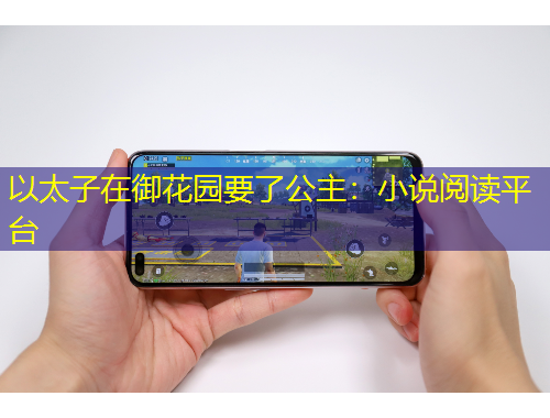 以太子在御花園要了公主：小說閱讀平臺