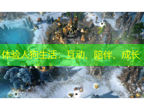 體驗(yàn)人狗生活：互動(dòng)、陪伴、成長