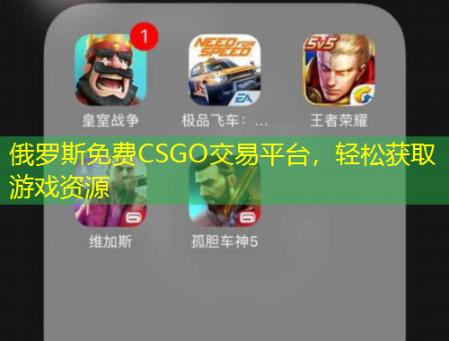 俄羅斯免費(fèi)CSGO交易平臺(tái)，輕松獲取游戲資源