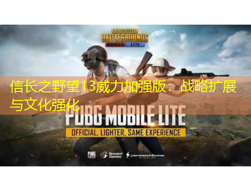 信長(zhǎng)之野望13威力加強(qiáng)版：戰(zhàn)略擴(kuò)展與文化強(qiáng)化