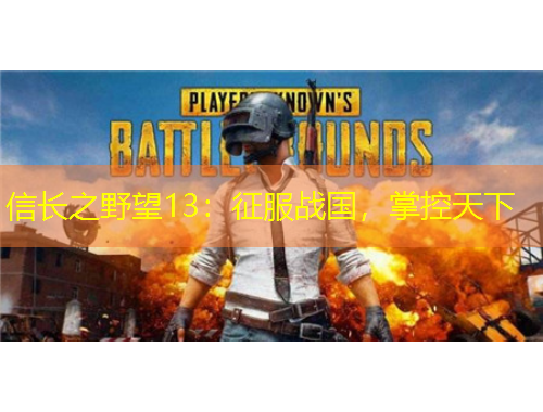 信長之野望13：征服戰(zhàn)國，掌控天下