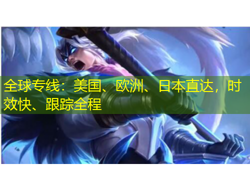 全球?qū)＞€：美國(guó)、歐洲、日本直達(dá)，時(shí)效快、跟蹤全程