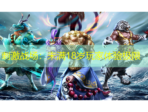 刺激戰(zhàn)場(chǎng)：未滿18歲玩家體驗(yàn)極限