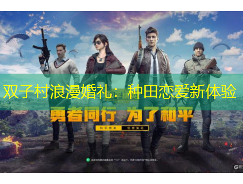 雙子村浪漫婚禮：種田戀愛新體驗(yàn)