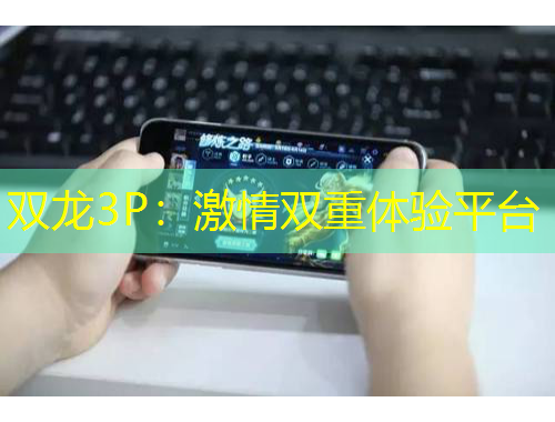 雙龍3P：激情雙重體驗平臺