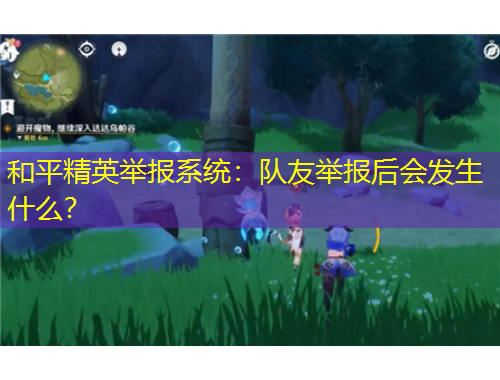 和平精英舉報系統(tǒng)：隊友舉報后會發(fā)生什么？