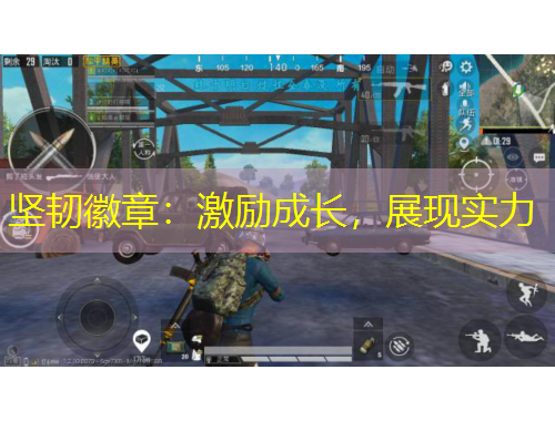 堅(jiān)韌徽章：激勵(lì)成長(zhǎng)，展現(xiàn)實(shí)力